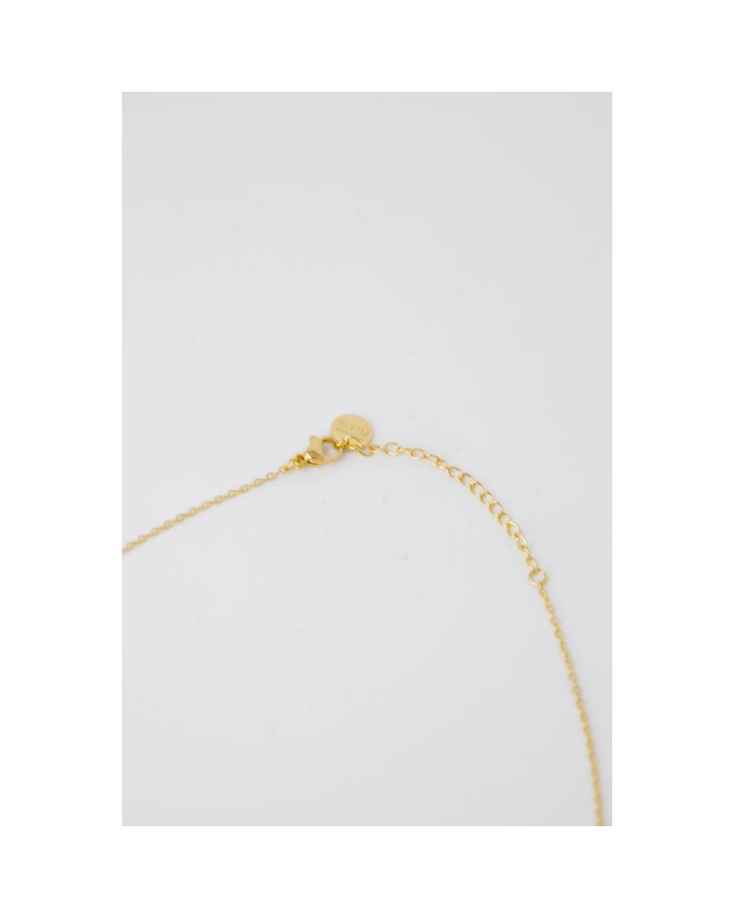 Alviero Martini Prima Classe Gold Steel Necklace