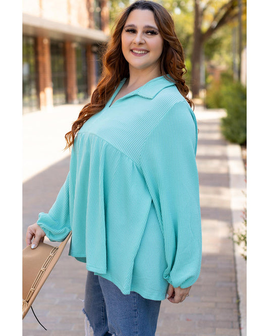 Plus size Balloon Sleeve Collar Babydoll Top