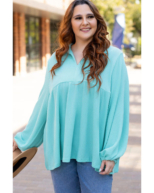 Plus size Balloon Sleeve Collar Babydoll Top