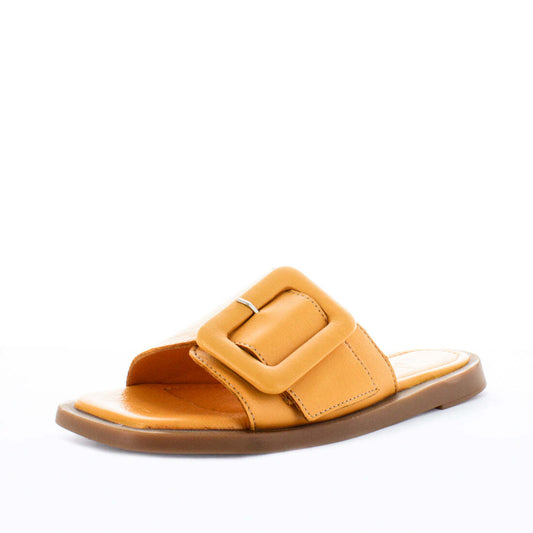 ZOLA HURSTEN Slides